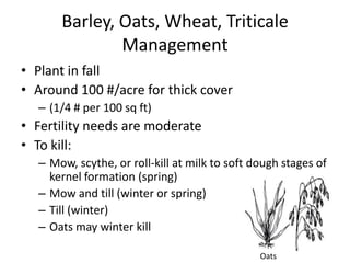 Barley, Oats, Wheat, Triticale
Management
• Plant in fall
• Around 100 #/acre for thick cover
– (1/4 # per 100 sq ft)

• Fertility needs are moderate
• To kill:
– Mow, scythe, or roll-kill at milk to soft dough stages of
kernel formation (spring)
– Mow and till (winter or spring)
– Till (winter)
– Oats may winter kill
Oats

 