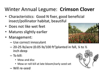 Winter Annual Legume: Crimson Clover
• Characteristics: Good N fixer, good beneficial
insect/pollinator habitat, beautiful
• Does not like wet feet
• Matures slightly earlier
• Management:
– Use correct innoculant
– 20-25 lb/acre (0.05 lb/100 ft2)planted in fall, ¼ to ½
inch deep
– To kill:
• Mow and disc
• Mow or roll-kill at late bloom/early seed set

– Will re-seed

 