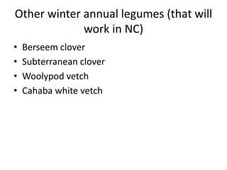 Other winter annual legumes (that will
work in NC)
•
•
•
•

Berseem clover
Subterranean clover
Woolypod vetch
Cahaba white vetch

 