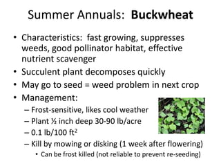 Summer Annuals: Buckwheat
• Characteristics: fast growing, suppresses
weeds, good pollinator habitat, effective
nutrient scavenger
• Succulent plant decomposes quickly
• May go to seed = weed problem in next crop
• Management:
– Frost-sensitive, likes cool weather
– Plant ½ inch deep 30-90 lb/acre
– 0.1 lb/100 ft2
– Kill by mowing or disking (1 week after flowering)
• Can be frost killed (not reliable to prevent re-seeding)

 