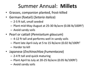 Summer Annual: Millets
• Grasses, companion planted, frost-killed
• German (foxtail) (Setaria italica)
– 2-5 ft tall, small seeded
– Plant mid-May-August at 25-30 lb/acre (0.06 lb/100ft2)
– Avoid sandy soils

• Pearl or cattail (Pennisetum glaucum)
– 4-12 ft tall and performs well in sandy soils
– Plant late April-July at 5 to 15 lb/acre (0.02 lb/100ft2
– Harder to kill

• Japanese (Enchinochloa frumentacea)
– 2-4 ft tall and quick maturing
– Plant April to July at 20-25 lb/acre (0.05 lb/100ft2)
– Avoid sandy soils

 