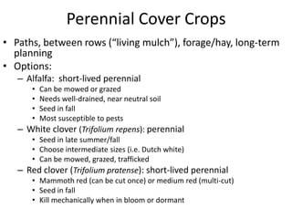 Perennial Cover Crops
• Paths, between rows (“living mulch”), forage/hay, long-term
planning
• Options:
– Alfalfa: short-lived perennial
•
•
•
•

Can be mowed or grazed
Needs well-drained, near neutral soil
Seed in fall
Most susceptible to pests

– White clover (Trifolium repens): perennial
• Seed in late summer/fall
• Choose intermediate sizes (i.e. Dutch white)
• Can be mowed, grazed, trafficked

– Red clover (Trifolium pratense): short-lived perennial
• Mammoth red (can be cut once) or medium red (multi-cut)
• Seed in fall
• Kill mechanically when in bloom or dormant

 