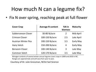 How much N can a legume fix?
• Fix N over spring, reaching peak at full flower
Cover Crop
Subterranean Clover

Average N content

%N in Maturity
biomass

30-80 lb/acre

2

Mid-April

Crimson Clover

100-150 lb/acre

2.5

Late April

Austrian Winter Pea

100-150 lb/acre

3.5

Early May

Hairy Vetch

150-200 lb/acre

4

Early May

Berseem Clover

100-140 lb/acre

3

Late May

Common Vetch

120-170 lb/acre

3.5

Late May

Nitrogen contents of several winter annual legume cover crops in 2009 and 2010 in NC.
Ranges are approximate and will vary from year to year.

Courtesy of Dr. Julie Grossman, NCSU Soil Science

 