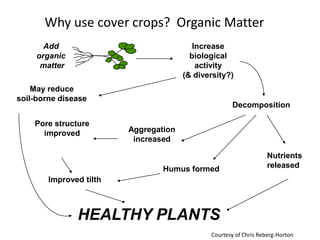 Why use cover crops? Organic Matter
Add
organic
matter

Increase
biological
activity
(& diversity?)

May reduce
soil-borne disease
Pore structure
improved

Decomposition
Aggregation
increased

Humus formed

Nutrients
released

Improved tilth

HEALTHY PLANTS
Courtesy of Chris Reberg-Horton

 