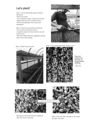 Microgreen production for Year-Round Harvest, CFSA SAC 2015