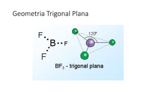 Geometria Trigonal Plana
 