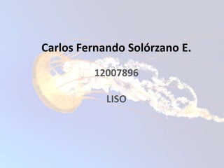Carlos Fernando Solórzano E.
12007896
LISO
 
