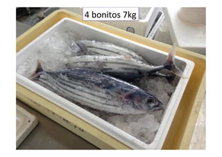 4	
  bonitos	
  7kg	
 