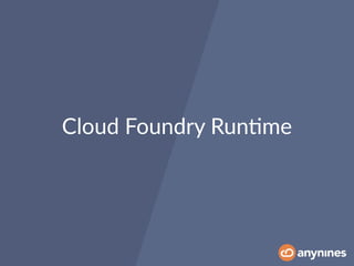 Cloud Foundry Run0me
 