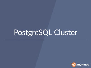 PostgreSQL Cluster
 