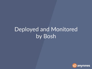 Deployed and Monitored
by Bosh
 