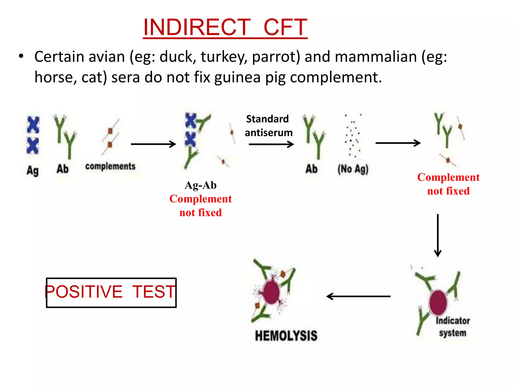 INDIRECT CFT
• Certain avian (eg: duck, turkey, parrot) and mammalian (eg:
horse, cat) sera do not fix guinea pig complement.
Ag-Ab
Complement
not fixed
Standard
antiserum
Complement
not fixed
POSITIVE TEST
 