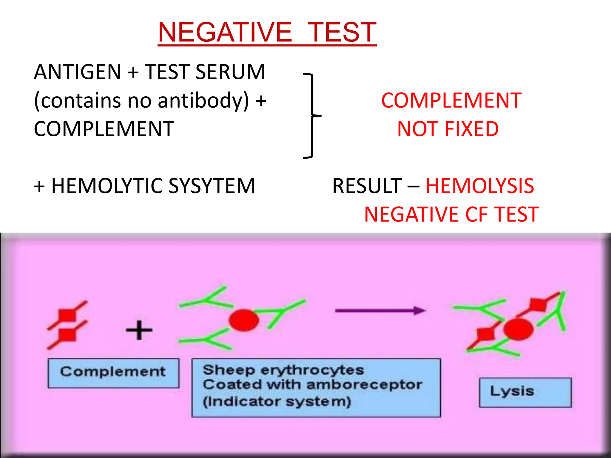 NEGATIVE TEST
ANTIGEN + TEST SERUM
(contains no antibody) + COMPLEMENT
COMPLEMENT NOT FIXED
+ HEMOLYTIC SYSYTEM RESULT – HEMOLYSIS
NEGATIVE CF TEST
 