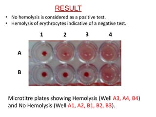 COMPLEMENT FIXATION TEST - CFT | PPT