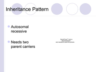 Inheritance Pattern  ,[object Object],[object Object]
