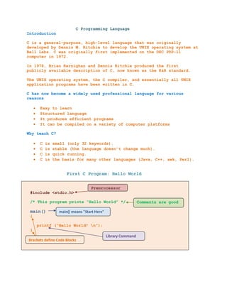 C Fundamental.docx
