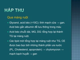  Qua màng ruột
 Glycerol, acid béo (<10C): tĩnh mạch cửa → gan.
Acid béo gắn albumin để lƣu thông trong máu
 Acid béo chuỗi dài, MG, DG: tổng hợp lại thành
TG tại màng ruột.
 Các lipid mới tổng hợp tại màng ruột nhƣ TG, CE
đƣợc bao bọc bởi những thành phần ƣa nƣớc
(PL, Cholesterol, apoprotein) → chylomycron →
mạch bạch huyết → gan
9
 