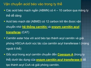  Vận chuyển acid béo vào trong ty thể
 Các acid béo mạch ngắn (ABMN) có 4 – 10 carbon qua màng ty
thể dễ dàng
 Acid béo mạch dài (ABMD) có 12 carbon trở lên đƣợc vận
chuyển nhờ hệ thống carnitin và enzym carnitin acyl
transferae (CAT)
 Carnitin ester hóa với acid béo tạo thành acyl carnitin và giải
phóng HSCoA dƣới xúc tác của carnitin acyl transferase I (màng
ngoài ti thể)
 Gốc acyl trong acyl carnitin chuyển đến Coenzym A (trong ty
thể) dƣới tác dụng của enzym carnitin acyl transferase II để
tạo thành acyl CoA và giải phóng carnitin. 16
 