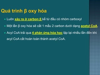 Quá trình β oxy hóa
 Luôn xảy ra ở carbon β kể từ đầu có nhóm carboxyl
 Một lần β oxy hóa sẽ cắt 1 mẩu 2 carbon dƣới dạng acetyl CoA.
 Acyl CoA trải qua 4 phản ứng hóa học lặp lại nhiều lần đến khi
acyl CoA cắt hoàn toàn thành acetyl CoA.
18
 