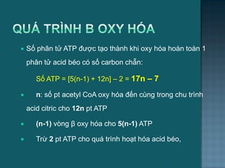  Số phân tử ATP đƣợc tạo thành khi oxy hóa hoàn toàn 1
phân tử acid béo có số carbon chẵn:
Số ATP = [5(n-1) + 12n] – 2 = 17n – 7
 n: số pt acetyl CoA oxy hóa đến cùng trong chu trình
acid citric cho 12n pt ATP
 (n-1) vòng β oxy hóa cho 5(n-1) ATP
 Trừ 2 pt ATP cho quá trình hoạt hóa acid béo,
19
 