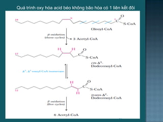 Quá trình oxy hóa acid béo không bão hòa có 1 liên kết đôi
24
 