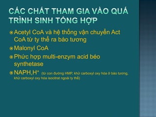  Acetyl CoA và hệ thống vận chuyển Act
CoA từ ty thể ra bào tƣơng
 Malonyl CoA
 Phức hợp multi-enzym acid béo
synthetase
 NAPH,H+ (từ con đƣờng HMP, khử carboxyl oxy hóa ở bào tƣơng,
khử carboxyl oxy hóa isocitrat ngoài ty thể)
32
 