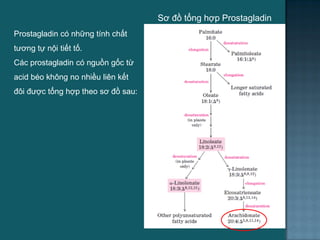 Sơ đồ tổng hợp Prostagladin
Prostagladin có những tính chất
tƣơng tự nội tiết tố.
Các prostagladin có nguồn gốc từ
acid béo không no nhiều liên kết
đôi đƣợc tổng hợp theo sơ đồ sau:
40
 