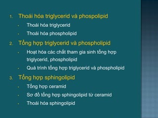 1. Thoái hóa triglycerid và phospolipid
• Thoái hóa triglycerid
• Thoái hóa phospholipid
2. Tổng hợp triglycerid và phospholipid
• Hoạt hóa các chất tham gia sinh tổng hợp
triglycerid, phospholipid
• Quá trình tổng hợp triglycerid và phospholipid
3. Tổng hợp sphingolipid
• Tổng hợp ceramid
• Sơ đồ tổng hợp sphingolipid từ ceramid
• Thoái hóa sphingolipid
43
 