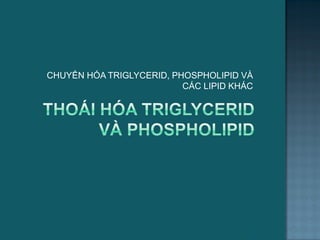 CHUYỂN HÓA TRIGLYCERID, PHOSPHOLIPID VÀ
CÁC LIPID KHÁC
44
 