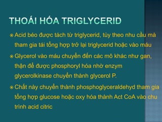  Acid béo đƣợc tách từ triglycerid, tùy theo nhu cầu mà
tham gia tái tổng hợp trở lại triglycerid hoặc vào máu
 Glycerol vào máu chuyển đến các mô khác nhƣ gan,
thận để đƣợc phosphoryl hóa nhờ enzym
glycerolkinase chuyển thành glycerol P.
 Chất này chuyển thành phosphoglyceraldehyd tham gia
tổng hợp glucose hoặc oxy hóa thành Act CoA vào chu
trình acid citric
46
 