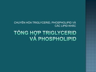 CHUYỂN HÓA TRIGLYCERID, PHOSPHOLIPID VÀ
CÁC LIPID KHÁC
48
 