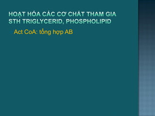  Act CoA: tổng hợp AB
50
 