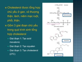  Cholesterol đƣợc tổng hợp
chủ yếu ở gan, vỏ thƣợng
thận, lách, niêm mạc ruột,
phổi, thận.
 Gồm 3 giai đoạn chủ yếu
trong quá trình sinh tổng
hợp cholesterol
 Giai đoạn 1: Tạo acid
mevalonic
 Giai đoạn 2: Tạo squalen
 Giai đoạn 3: Tạo cholesterol
(27C)
59
 