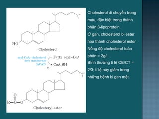 Cholesterol di chuyển trong
máu, đặc biệt trong thành
phần β-lipoprotein.
Ở gan, cholesterol bị ester
hóa thành cholesterol ester
Nồng độ cholesterol toàn
phần = 2g/l.
Bình thƣờng tỉ lệ CE/CT =
2/3; tỉ lệ này giảm trong
những bệnh lý gan mật.
64
 