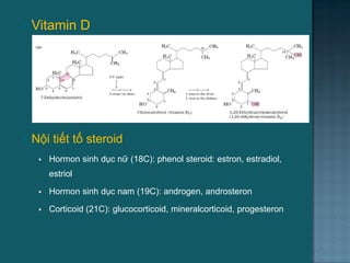  Vitamin D
 Nội tiết tố steroid
 Hormon sinh dục nữ (18C): phenol steroid: estron, estradiol,
estriol
 Hormon sinh dục nam (19C): androgen, androsteron
 Corticoid (21C): glucocorticoid, mineralcorticoid, progesteron
66
 
