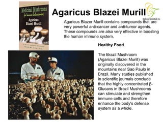 CF WELLNESS SALES ASSOCIATE’S ENTRY PACKAGES Agaricus Blazei Murill Agaricus Blazer Murill contains compounds that are  very powerful anti-cancer and anti-tumor agents.  These compounds are also very effective in boosting the human immune system.  Healthy Food The Brazil Mushroom (Agaricus Blazei Murill) was originally discovered in the mountains near Sao Paulo in Brazil. Many studies published in scientific journals conclude that the highly concentrated β-Glucans in Brazil Mushrooms can stimulate and strengthen immune cells and therefore enhance the body's defense system as a whole. 