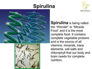 Spirulina Spirulina  is being called the “Wonder” or “Miracle Food” and it is the most complete food. It contains complete vegetable proteins and is the source of all vitamins, minerals, trace elements, cell salts and chlorophyll that our body and brain needs for complete nutrition. 