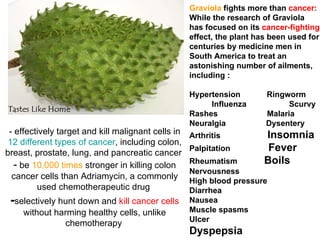 Graviola  fights more than  cancer:  While the research of Graviola has focused on its  cancer-fighting  effect, the plant has been used for centuries by medicine men in South America to treat an astonishing number of ailments, including :  Hypertension   Ringworm  Influenza  Scurvy  Rashes  Malaria  Neuralgia  Dysentery  Arthritis  Insomnia  Palpitation  Fever   Rheumatism  Boils  Nervousness  High blood pressure  Diarrhea  Nausea  Muscle spasms  Ulcer  Dyspepsia - effectively target and kill malignant cells in  12 different types of cancer , including colon, breast, prostate, lung, and pancreatic cancer  -  be  10,000 times  stronger in killing colon cancer cells than Adriamycin, a commonly used chemotherapeutic drug  - selectively hunt down and  kill cancer cells  without harming healthy cells, unlike chemotherapy   