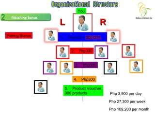 Matching Bonus Organizational  Structure L R You Pairing Bonus 2.  Php300 5.  Product Voucher 300 products 3.  Php300 4.  Php300 Php 3,900 per day Php 27,300 per week Php 109,200 per month 