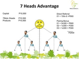 7 Heads Advantage 1 2 3 4 5 6 7 8 9 10 11 12 13 14 15 Capital  P10,500 7Slots /Heads P10,500 Products P10,500 Direct Referral  01 = 150x 6 =P900 Pairing Bonus 01 = 3x300 = P900 02 = 1x300 = P300 03 = 1x300 = P300 _____   P2400 
