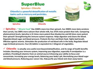 33
SuperBlue
Spirulina + Chlorella
Chlorella is a powerful detoxification of metallic
toxins such as mercury and pesticides.
 Chlorella - is actually very useful even beyond detoxification, and its range of health benefits
includes: Boosting your immune system, Improving your digestion, especially if constipation is a
problem, Providing B vitamins from an animal source Enhancing your ability to focus and
concentrate, Increasing your energy levels, Balancing your body's pH, Normalizing your blood sugar
and blood pressure, Reducing your cancer risk, Help purify your blood and clean away toxins
Spirulina Chlorella
 Spirulina – “ Miracle Food” Has 2300% more iron than spinach, has 3900% more beta carotene
than carrots, has 300% more calcium than whole milk, has 375% more protein than tofu. Comparing
phytonutrient levels, Spirulina is 31 times more potent than blueberries and 60 times more potent
than spinach! Strengthening the immune system response. Helps digestion and cleans the blood.
Regulates blood sugar and blood pressure. Protects the liver and Brain food. Fights bad breath.
Effective against anemia. Stimulates the production of red blood cells in the body. Regulates blood
sugar & blood pressures. Four (4) tablets is equivalent to 1 kilogram of vegetables.
24
SuperBlue
Spirulina + Chlorella
Chlorella is a powerful detoxification of metallic
toxins such as mercury and pesticides.
 Chlorella - is actually very useful even beyond detoxification, and its range of health benefits
includes: Boosting your immune system, Improving your digestion, especially if constipation is a
problem, Providing B vitamins from an animal source Enhancing your ability to focus and
concentrate, Increasing your energy levels, Balancing your body's pH, Normalizing your blood sugar
and blood pressure, Reducing your cancer risk, Help purify your blood and clean away toxins
Spirulina Chlorella
 Spirulina – “ Miracle Food” Has 2300% more iron than spinach, has 3900% more beta carotene
than carrots, has 300% more calcium than whole milk, has 375% more protein than tofu. Comparing
phytonutrient levels, Spirulina is 31 times more potent than blueberries and 60 times more potent
than spinach! Strengthening the immune system response. Helps digestion and cleans the blood.
Regulatesblood sugar and blood pressure. Protects the liver and Brain food. Fights bad breath.
Effective against anemia. Stimulates the production of red blood cells in the body. Regulates blood
sugar & blood pressures. Four (4) tablets is equivalent to 1 kilogram of vegetables.
 