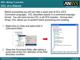 CFX:Mixing T-Junction | PPT