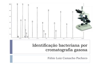 Identificação bacteriana por cromatografia gasosa Fábio Luiz Camacho Pacheco 