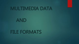MULTIMEDIA DATA
AND
FILE FORMATS
 