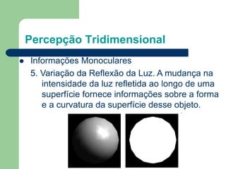 Percepção Tridimensional
 Informações Monoculares
5. Variação da Reflexão da Luz. A mudança na
intensidade da luz refletida ao longo de uma
superfície fornece informações sobre a forma
e a curvatura da superfície desse objeto.
 