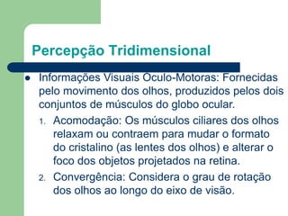 Percepção Tridimensional
 Informações Visuais Óculo-Motoras: Fornecidas
pelo movimento dos olhos, produzidos pelos dois
conjuntos de músculos do globo ocular.
1. Acomodação: Os músculos ciliares dos olhos
relaxam ou contraem para mudar o formato
do cristalino (as lentes dos olhos) e alterar o
foco dos objetos projetados na retina.
2. Convergência: Considera o grau de rotação
dos olhos ao longo do eixo de visão.
 
