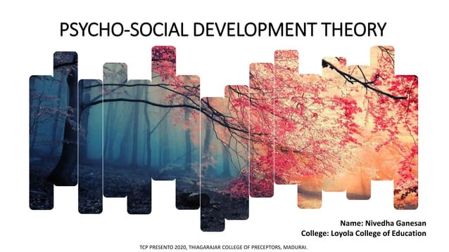 PSYCHO-SOCIAL DEVELOPMENT THEORY | PPTX | Parenting | Family and ...
