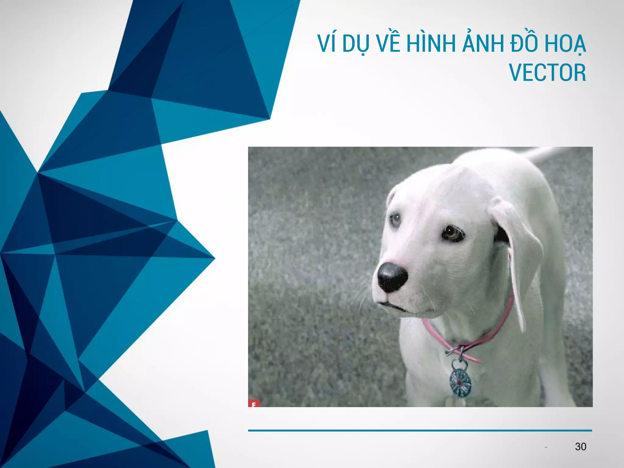 -
VÍ DỤ VỀ HÌNH ẢNH ĐỒ HOẠ
VECTOR
30
 