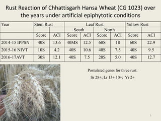 Cg 1023 wheat important feature btc cars bilaspur | PPT
