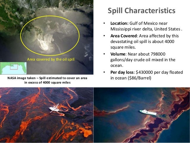 ethical problems deepwater horizon oil spill management essay The bp oil spill raises issues that fall squarely within the field's domain the ethical questions surrounding the public health implications of the. ethical problems deepwater horizon oil spill management essay The bp oil spill raises issues that fall squarely within the field's domain the ethical questions surrounding the public health implications of the.